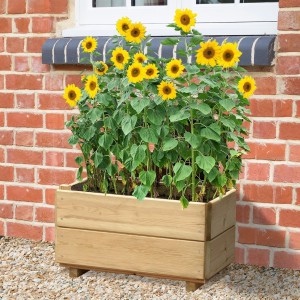 Raised Planter With Base